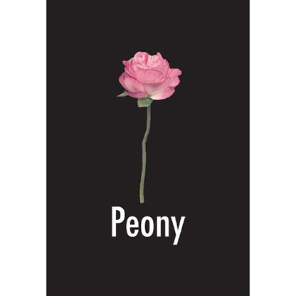 Peony DVD