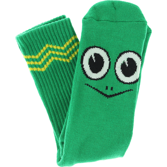 Turtle Boy Socks