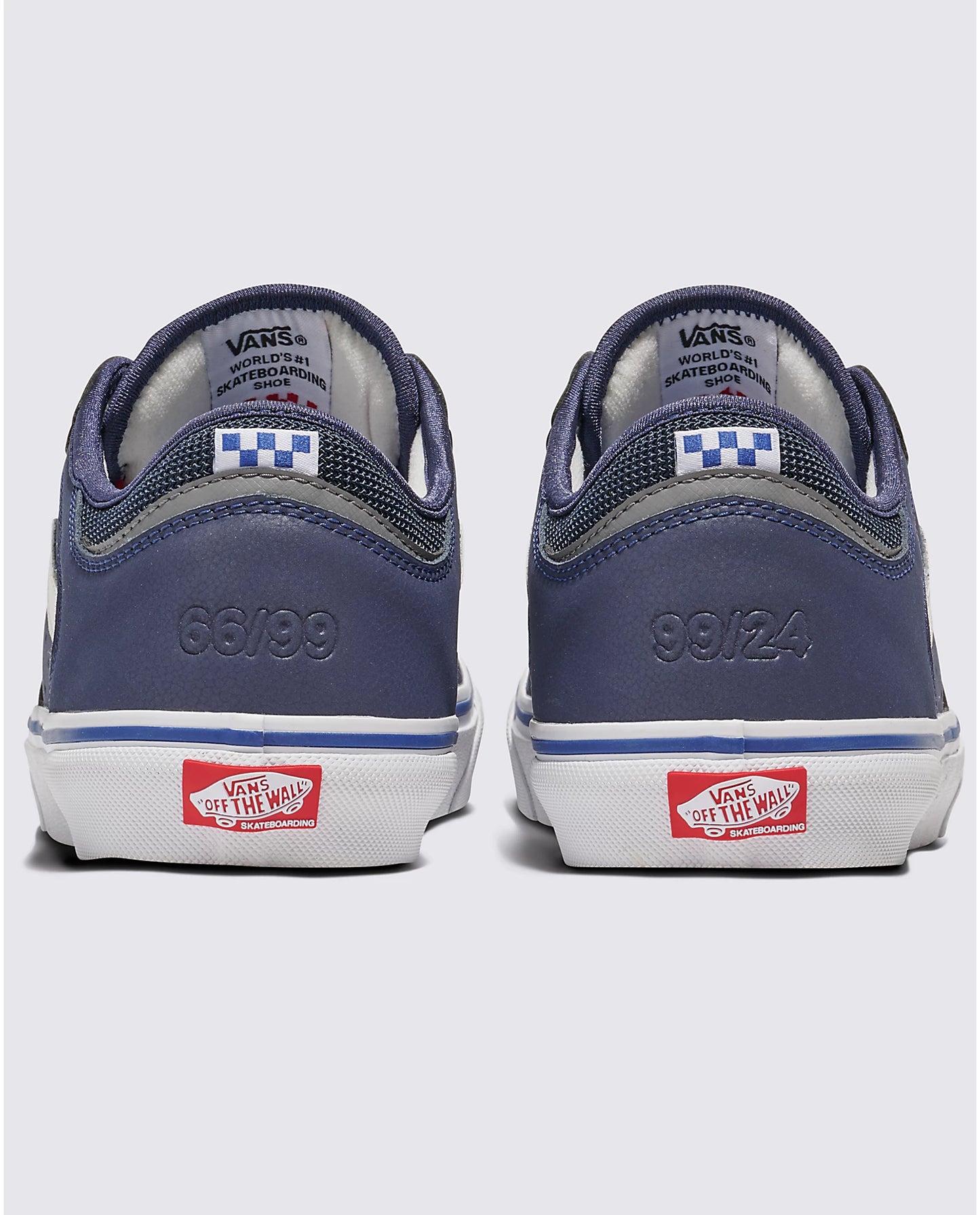 Skate Rowley 25th Anniversary Shoe