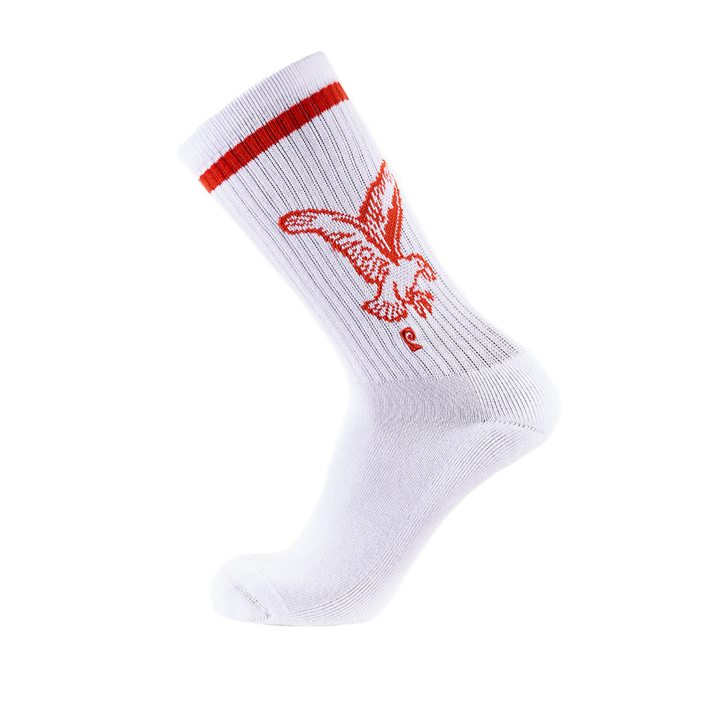 Plainview Beer x Psockadelic Collaboration Socks