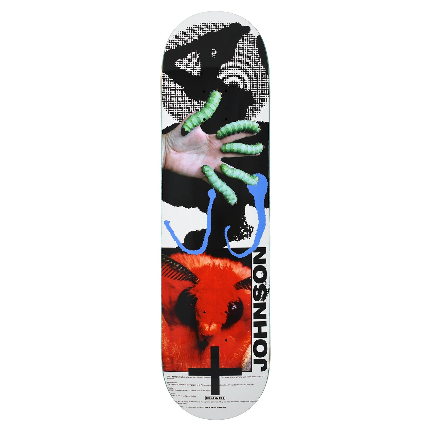 Johnson 'Mothhead' Deck (8.25)